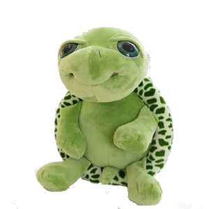 Babyschildkröte shelly