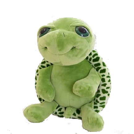 Babyschildkröte shelly